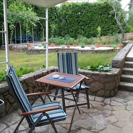 Studio Maya